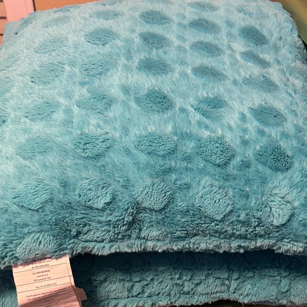 Pair of Cozy Teal Textured Accent Pillows